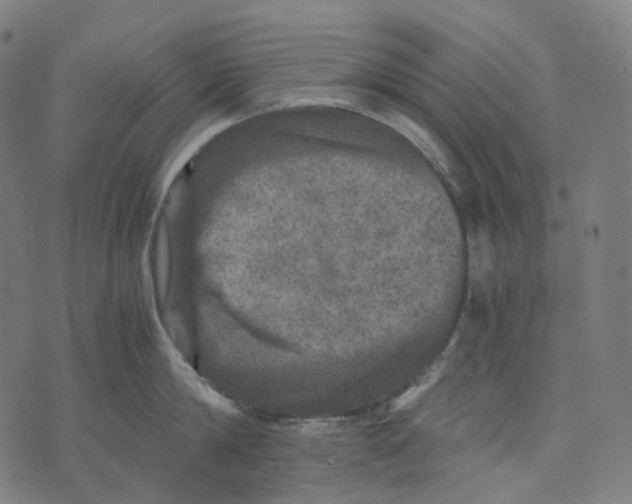 X0000073530814200608211828