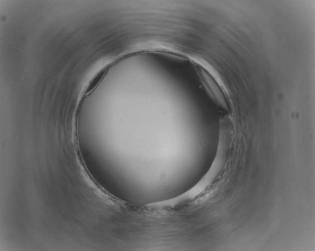 X0000073530815200608211828