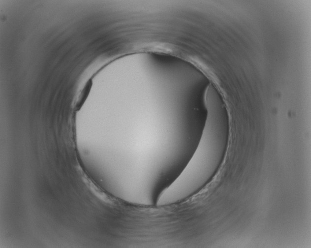 X0000073530816200608211828