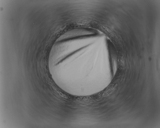 X0000073530817200608211827