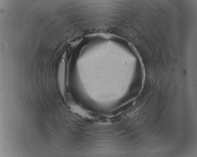 X0000073530818200608211827