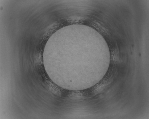 X0000073530820200608211827