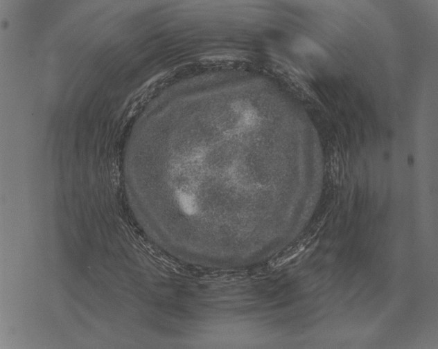 X0000073530821200608211827