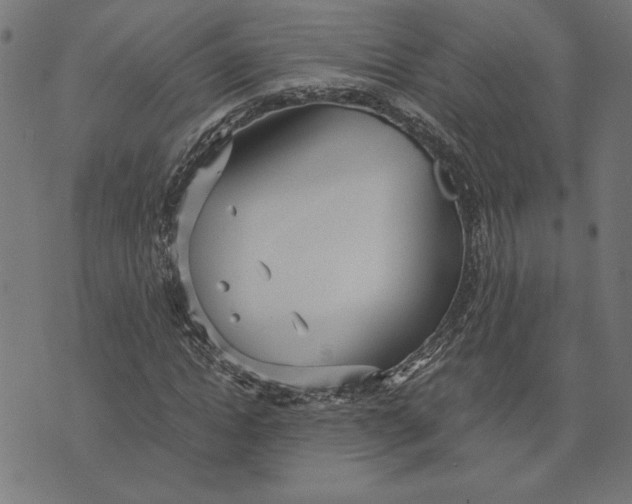 X0000073530822200608211827