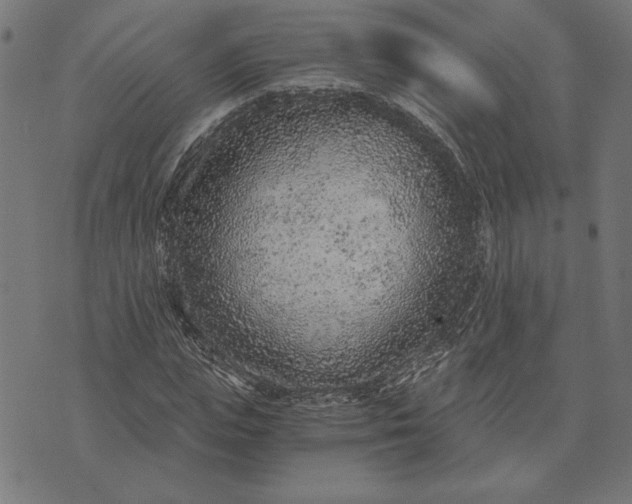 X0000073530823200608211827