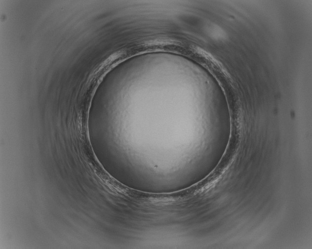 X0000073530825200608211827