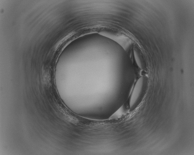 X0000073530826200608211827