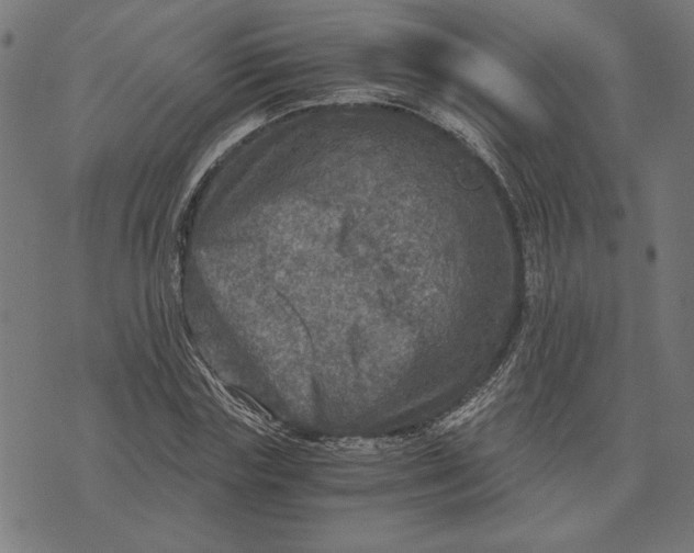 X0000073530827200608211827