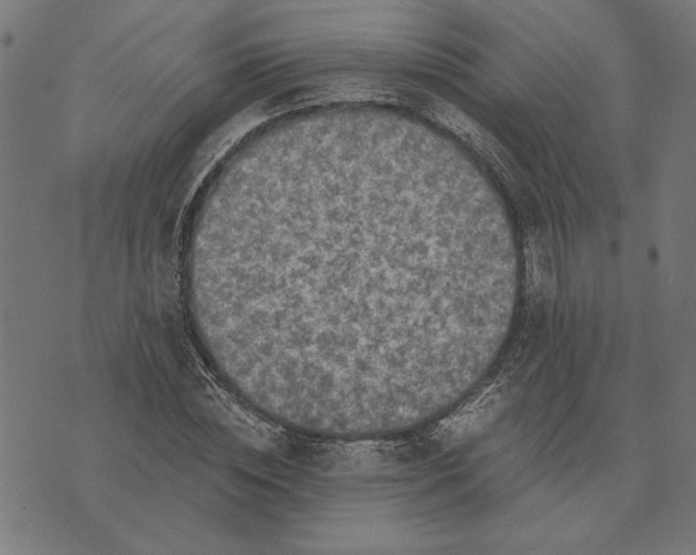 X0000073530828200608211827