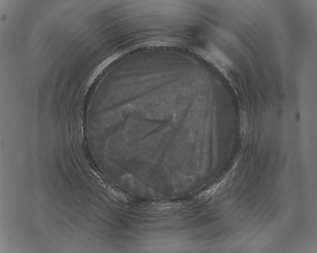 X0000073530829200608211827