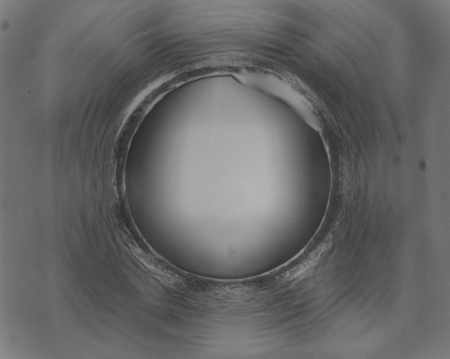 X0000073530830200608211827