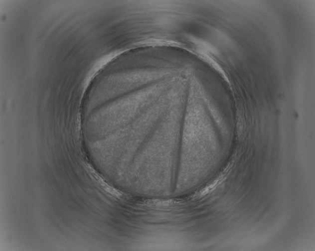 X0000073530831200608211827