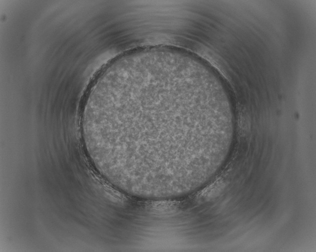 X0000073530832200608211827