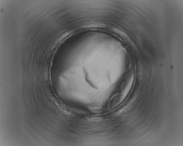 X0000073530833200608211828