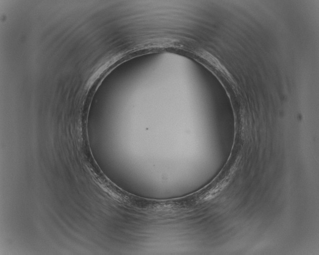 X0000073530834200608211828