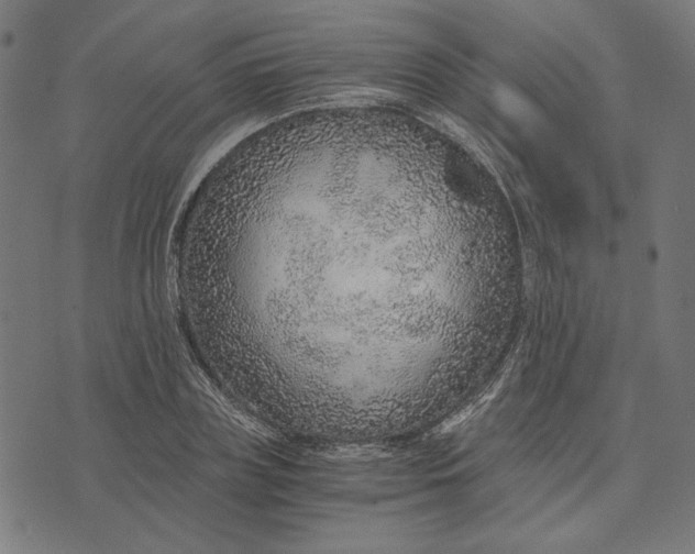 X0000073530835200608211828