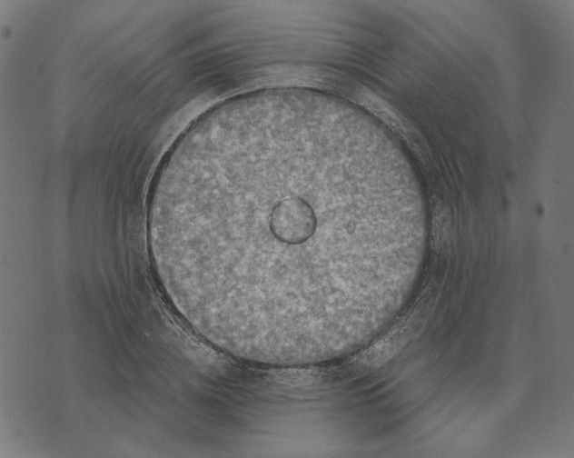 X0000073530836200608211828