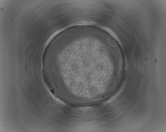 X0000073530837200608211828