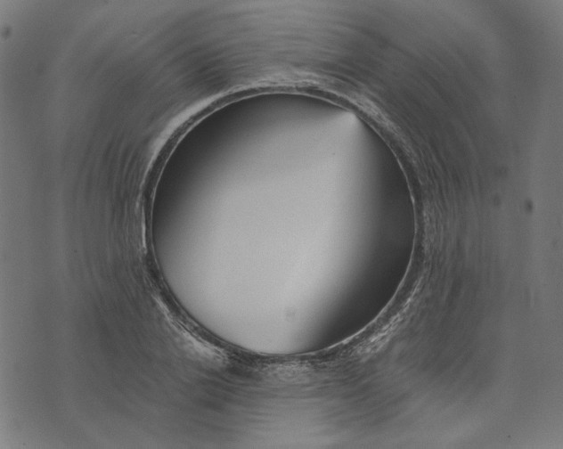 X0000073530838200608211828