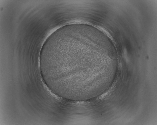 X0000073530839200608211828