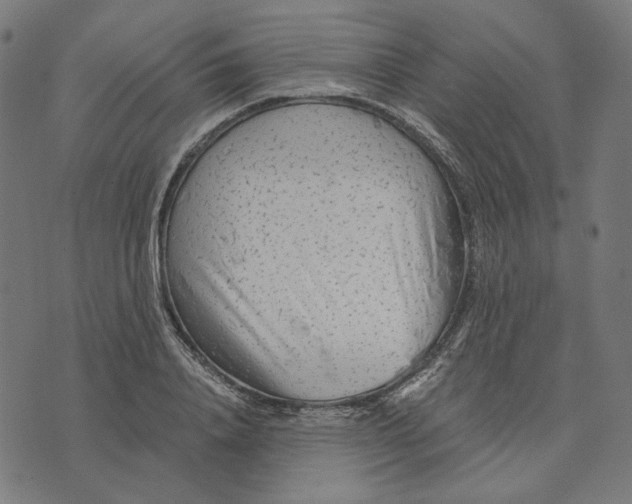 X0000073530840200608211828