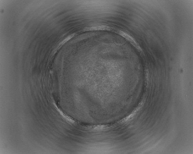 X0000073530841200608211828