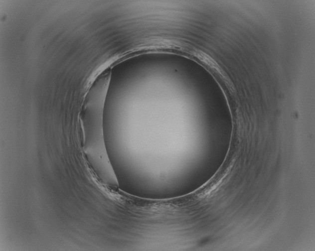 X0000073530842200608211828