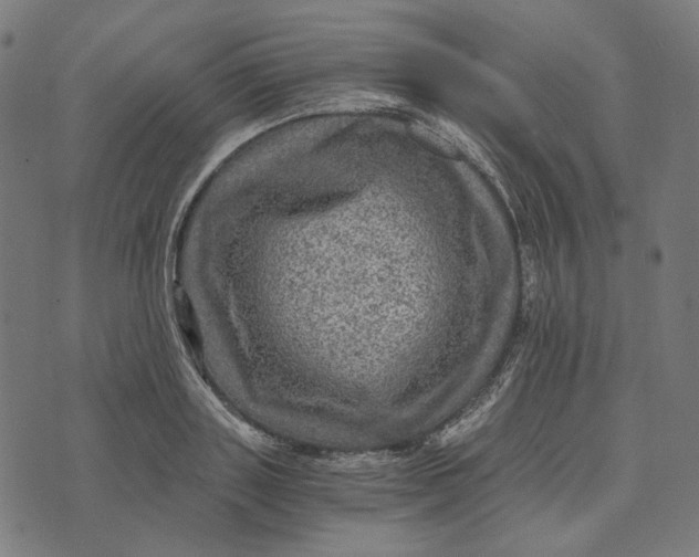 X0000073530843200608211828