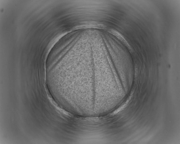 X0000073530844200608211828