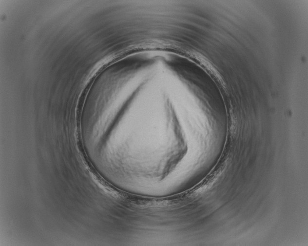 X0000073530845200608211828