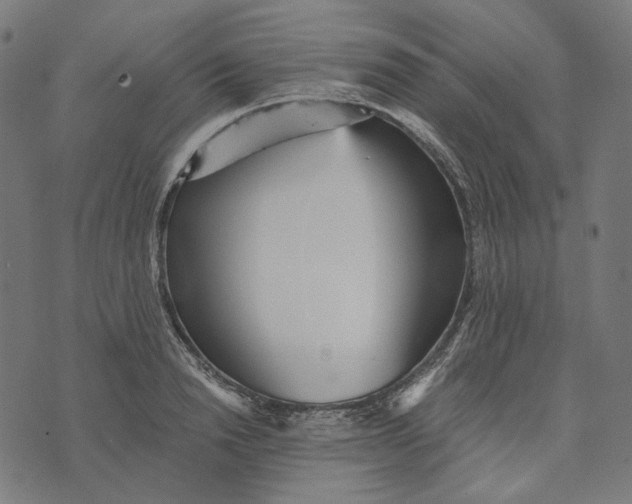 X0000073530846200608211828