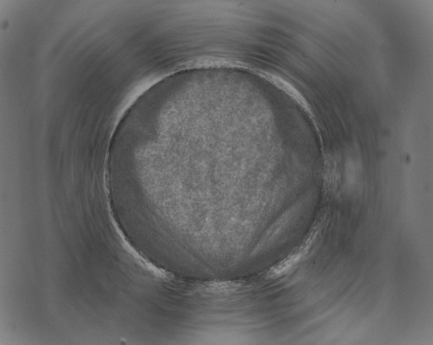 X0000073530847200608211828