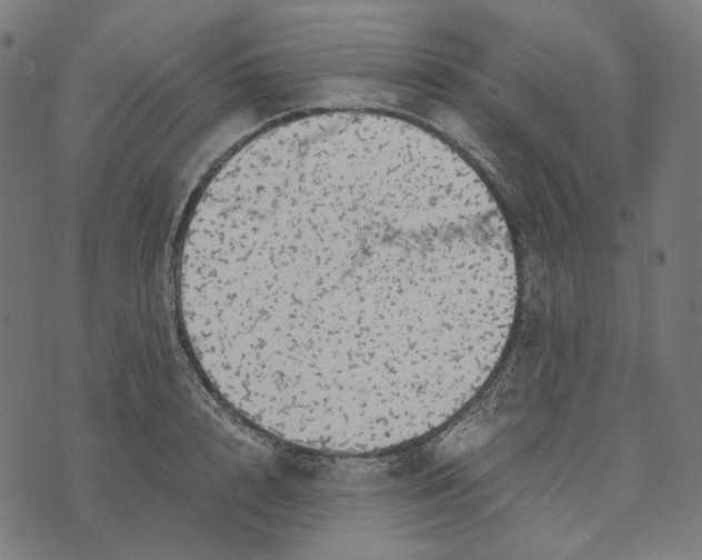 X0000073530848200608211828