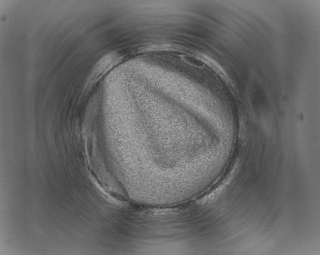 X0000073530849200608211828