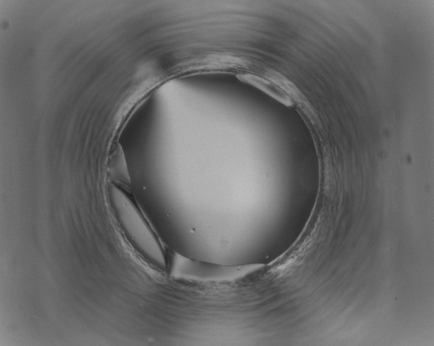 X0000073530850200608211828