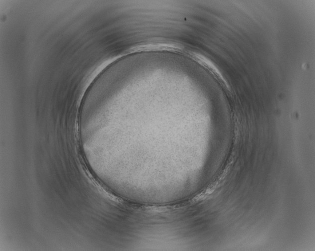 X0000073530852200608211828