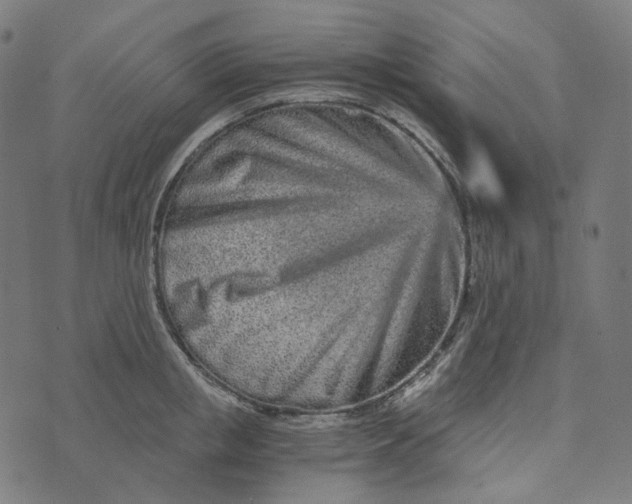 X0000073530853200608211828