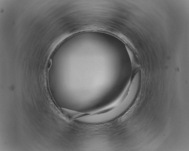 X0000073530854200608211828