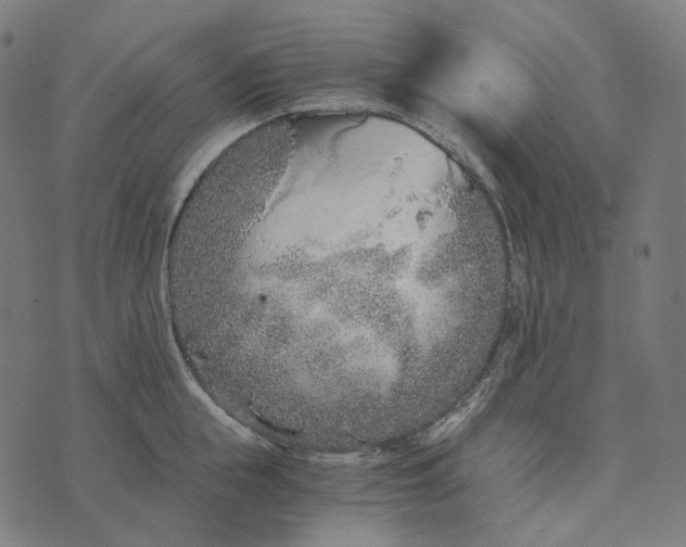 X0000073530855200608211828