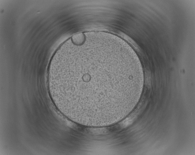 X0000073530856200608211828