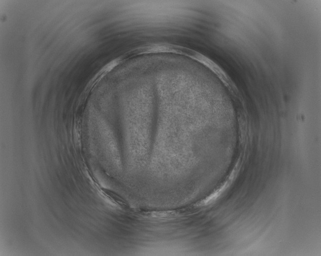 X0000073530857200608211828