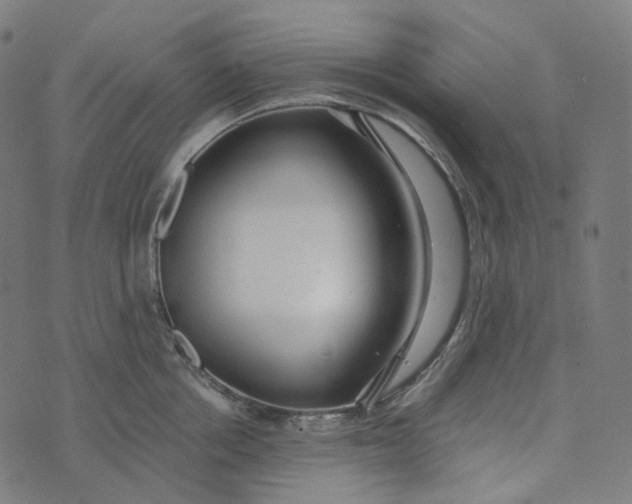 X0000073530858200608211828