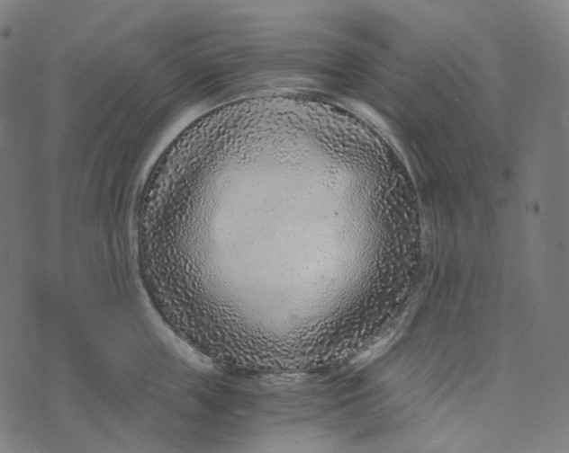 X0000073530859200608211828