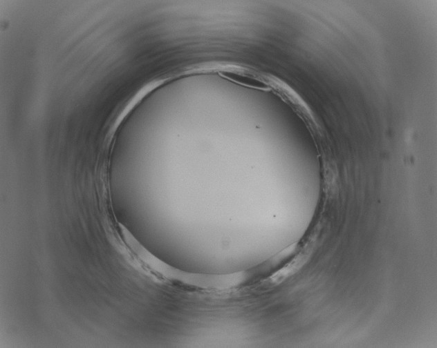 X0000073530860200608211828