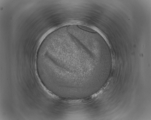 X0000073530861200608211828