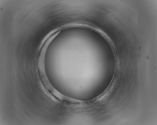 X0000073530862200608211828