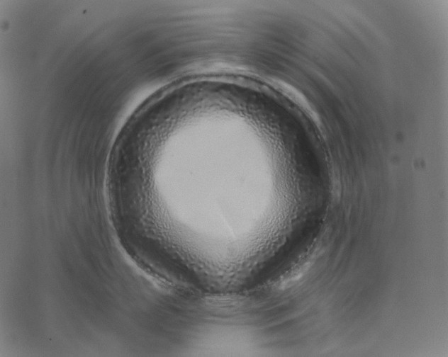 X0000073530863200608211828