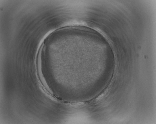 X0000073530864200608211828