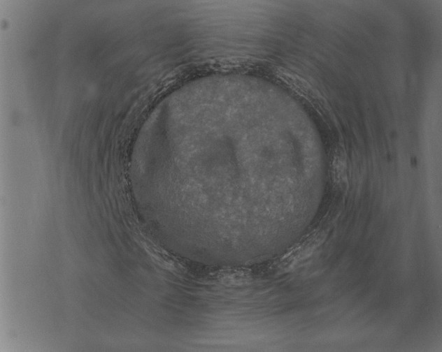 X0000073530865200608211827