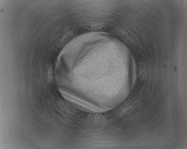 X0000073530866200608211827